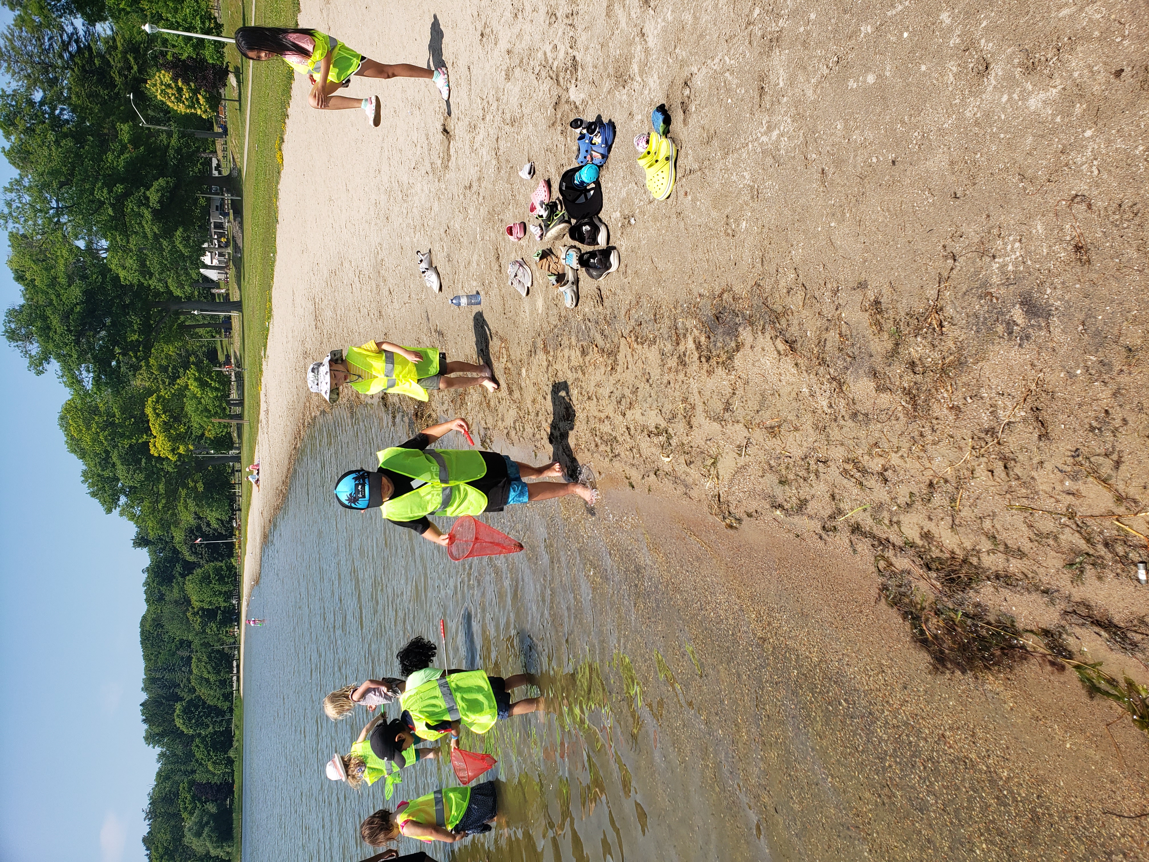 Kids exploring at the lake with nets